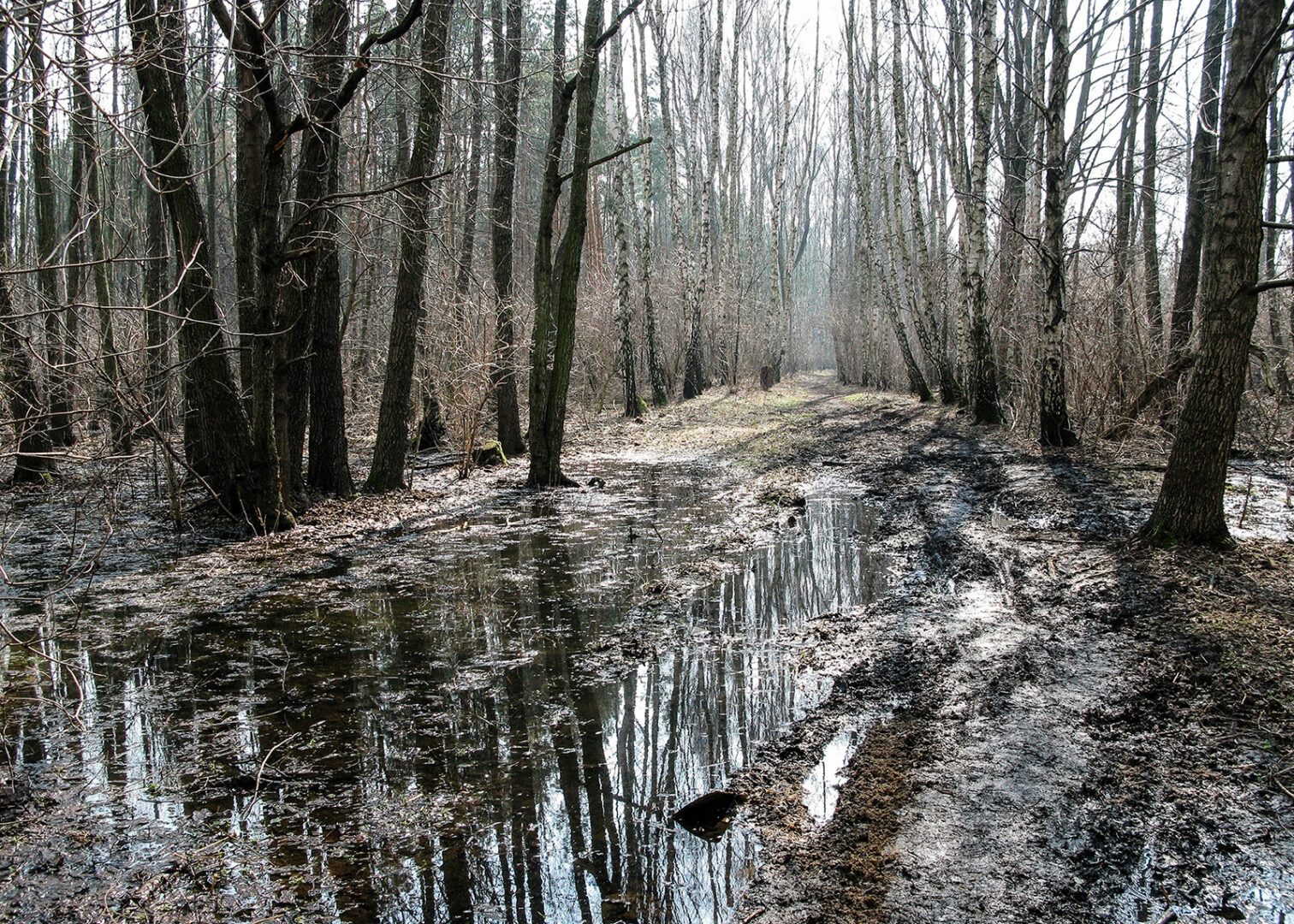 Janusz Gajos fotografie Galeria Sztuki Katarzyny Napiorkowskiej (3)